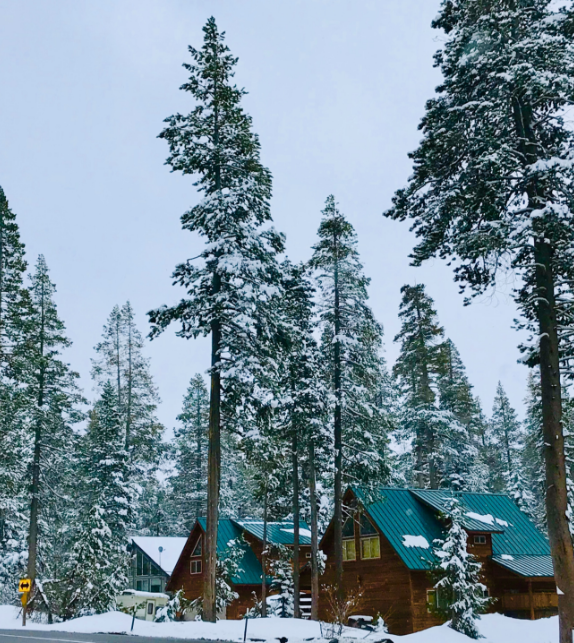 Stock placeholder image with lake Tahoe stream Stock placeholder image with lake Tahoe stream