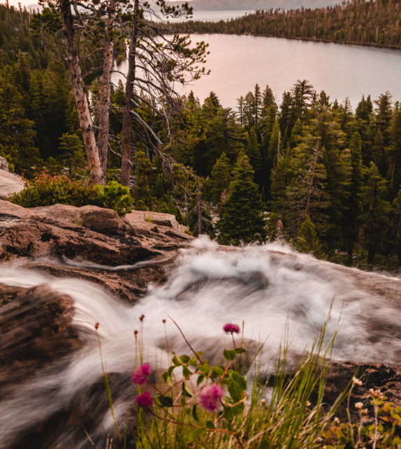 Stock placeholder image with lake Tahoe stream Stock placeholder image with lake Tahoe stream